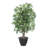 Primrue 4' Artificial Japanese Maple Bush, Brown Plastic Container.-1970829112