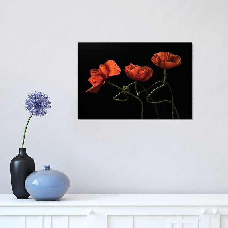 Around Midnight #2 by Lenka - Print on Canvas, Wrapped Canvas, 30.48cm H x 45.72cm W x 1.91cm D