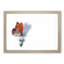 Orange Butterfly on a Thistle - Picture Frame Graphic Art Print-56860893-56860896