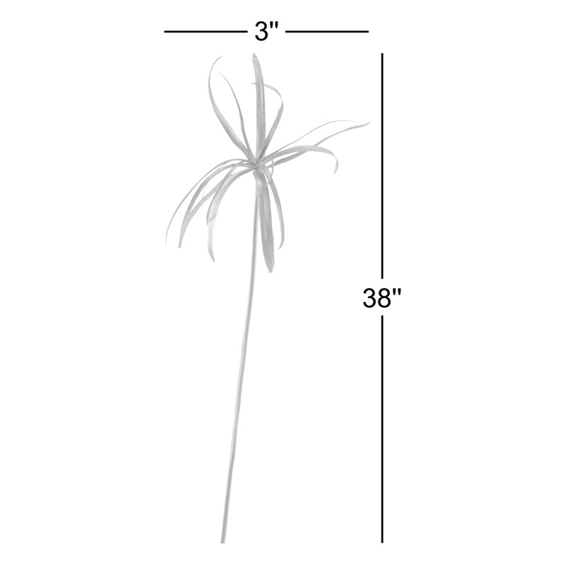 Herbe papyrus