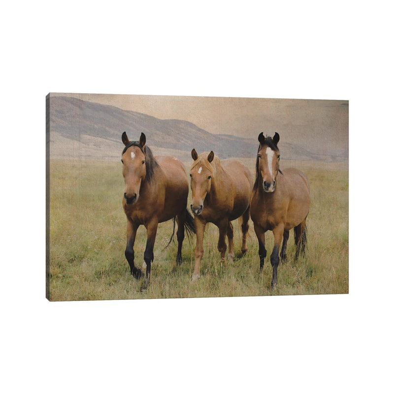 Three Friendly Mustangs by Rhonda Thompson - Wrapped Canvas Print, 30.48 cm H x 45.72 cm W