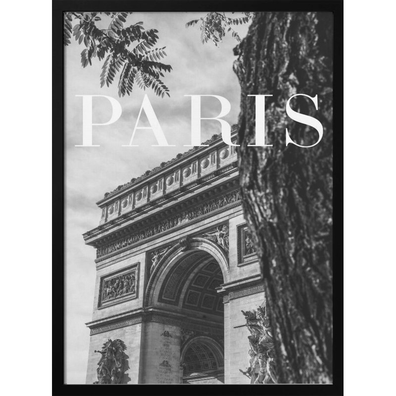 Classic Elegance "Paris " Framed Print Wall Art, 40" H x 30" W