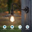 Armed Sconce