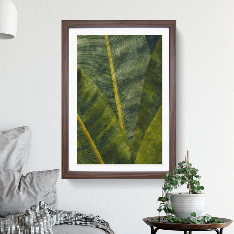 Fronds of a Palm Tree - Framed Print, Walnut Framed, 36cm H x 27cm W x 2cm D
