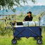 Chariot pliable utilitaire pliable, chariot de plage pliable