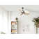 123 cm Aschwin 3 - Blade Ceiling Fan with Remote Control