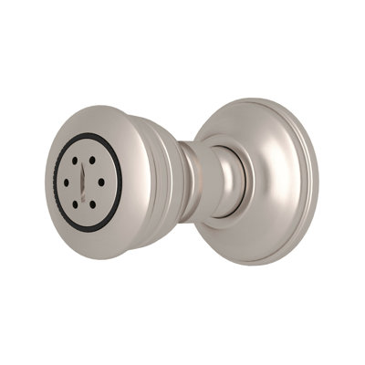Michael Berman 2-Function Body Spray Fixed Shower Head