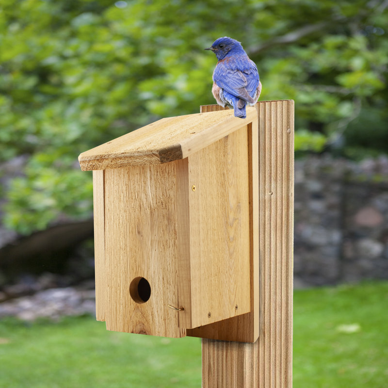 Unfinished Cedar Wood Birdhouse for Winter Roosting and Shelter