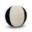 Poodle Ball II Pillow Cover & Insert-1503603418