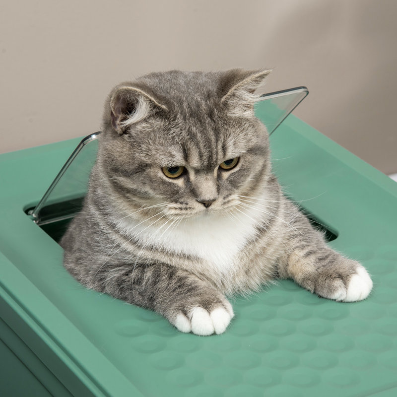 Tente de litière pliable pour chat, grande capacité, toilette avec entrées avant et supérieures spacieuses, odeur