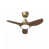 Gold/Walnut