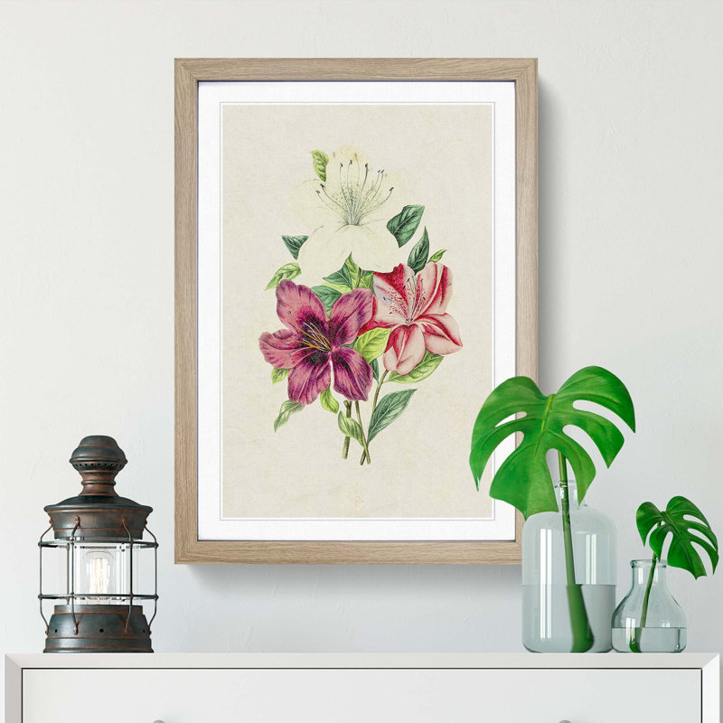 Illustration of Beautiful Flowers - Picture Frame Graphic Art Print on MDF, Oak Framed, 48cm H x 36cm W x 2cm D