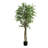 Ficus Tree, Floor, Real Touch, Potted