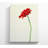 Single Red Gerbera - Wrapped Canvas Print-391198031