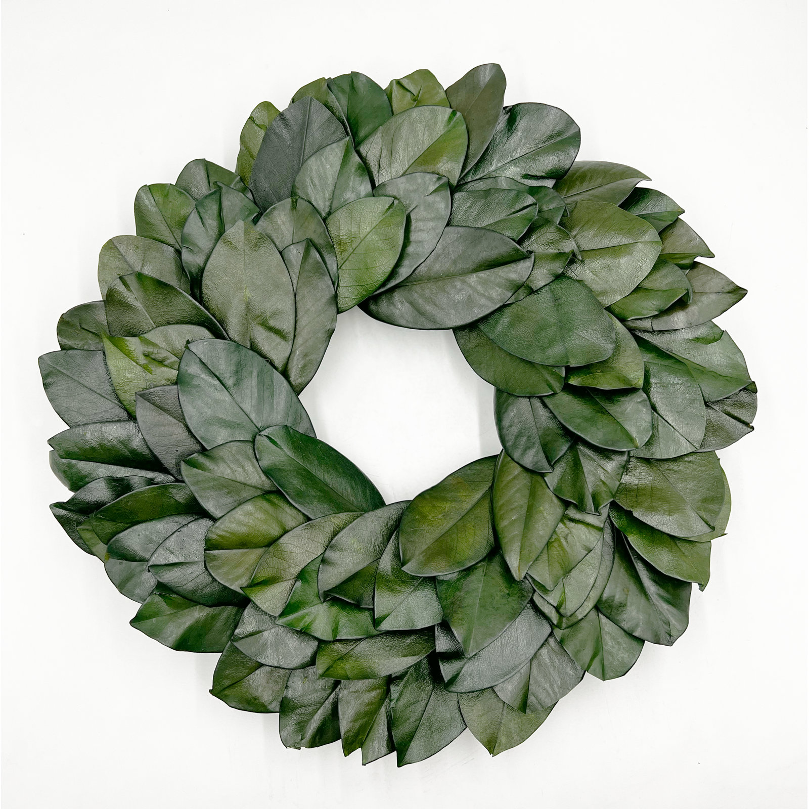 21'' Dried Preserved Magnolia Leaf Wreath