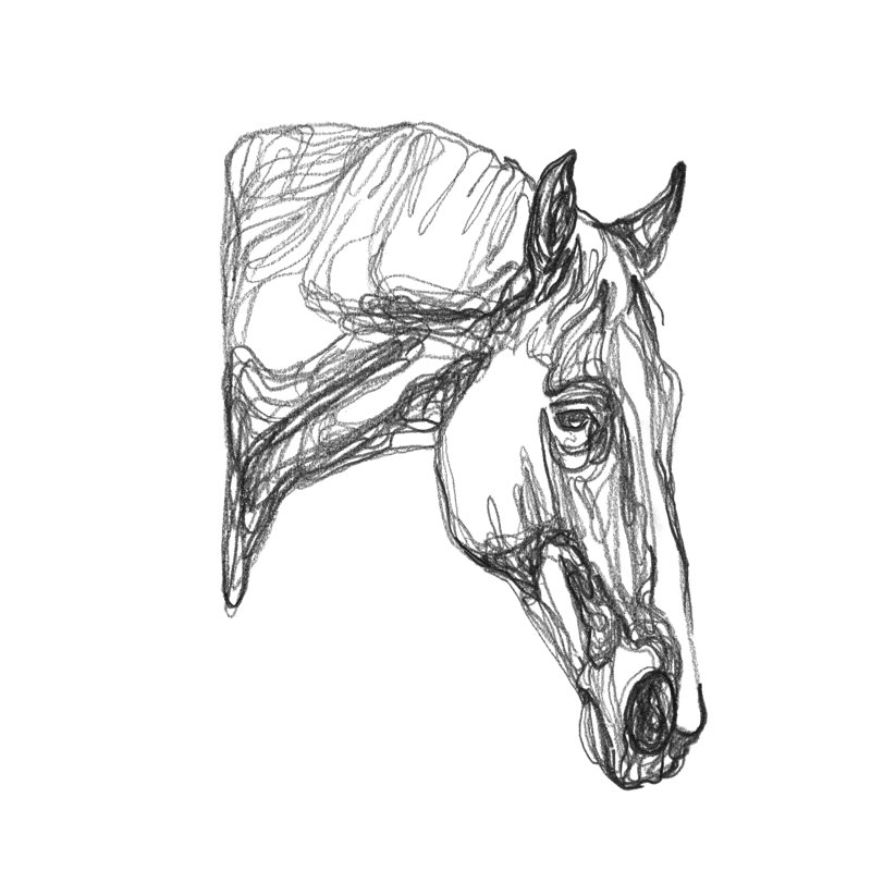Equine Shape III by Emma Scarvey - Drawing, 122 cm H x 81 cm W, Black Floater Framed