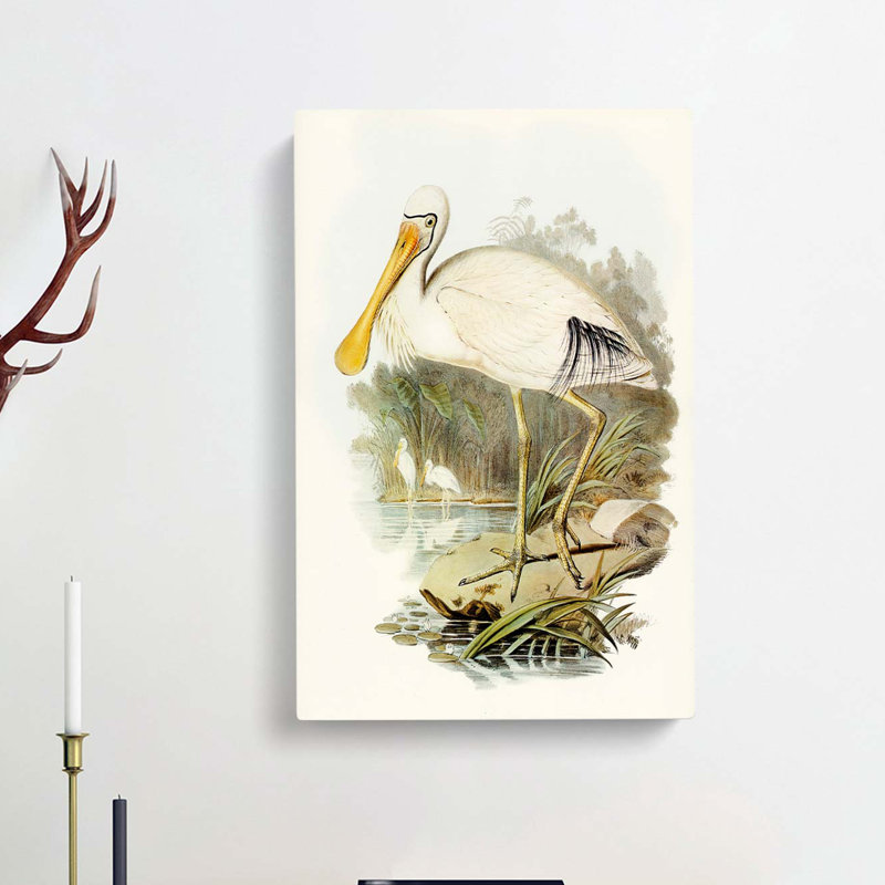 Yellow-Legged Spoonbills by Elizabeth Gould - Wrapped Canvas, 60cm H x 40cm W x 3cm D