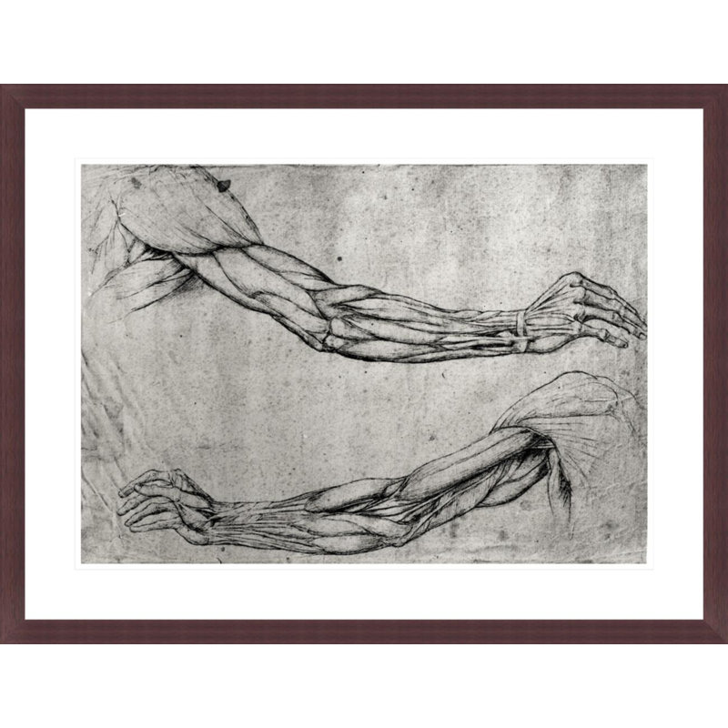 Study of Arms by Leonardo da Vinci -Framed Giclee Print, H 22,72 po x l 29,5 po