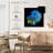 Crowle Halfmoon Betta Fish-111903310