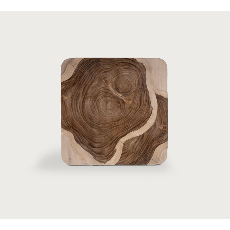 Mara Square Coffee Table