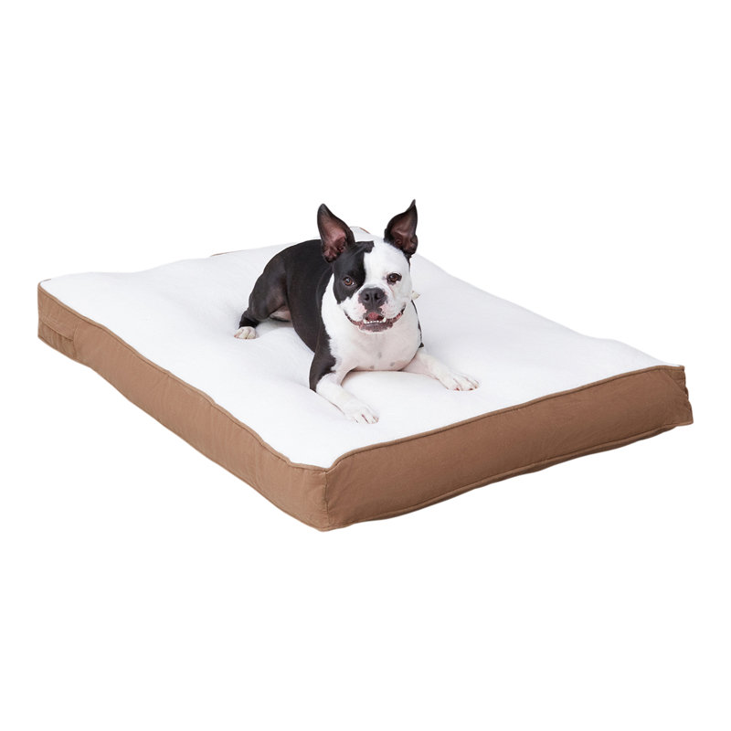 Lit pour chien avec coussin de soutien, Café au lait, Moyen (l 42 po x P 30 po x H 4 po)