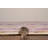 Cloris Machine Washable Area Rug-1059566131