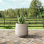 Grand pot à fleurs Brenno-293152732-310169912