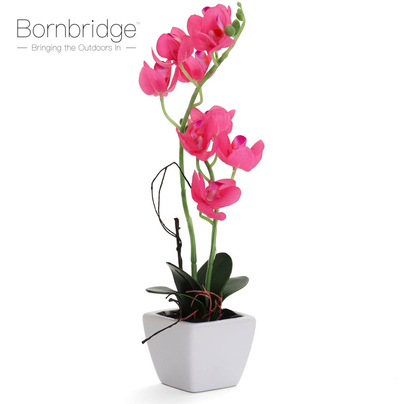 Orchidée artificielle dans un vase, Rose vif