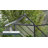 Palram - Canopia Mythos 6' W X 8' D Greenhouse Walk-In Hobby Twin Wall Polycarbonate Aluminum Frame Greenhouse Kit With Roof Vent - Green-379630575-278146428