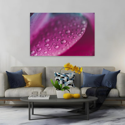 Pink Petal Water Drops Abstract Delicate Vibrant Flower Nature Wall Art Print 1 Piece Wrapped Canvas Wall Art