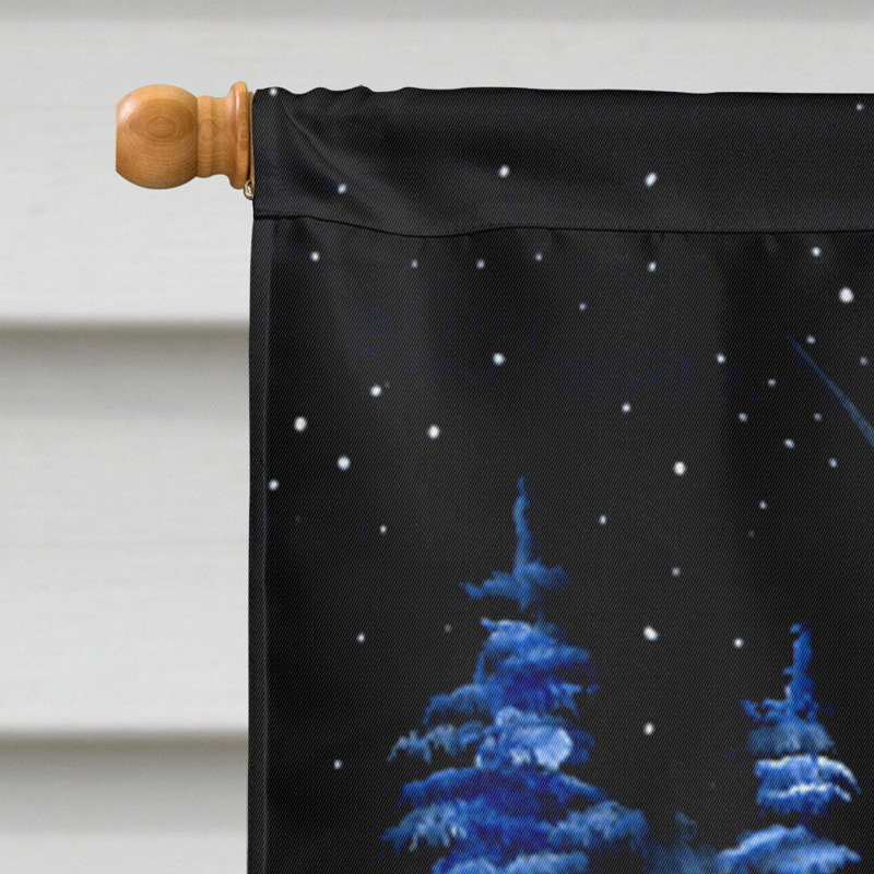 Starry night teckel 40 x 28 po en polyester à 2 côtés drapeau maison