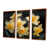 Toile avec cadre flottant brun