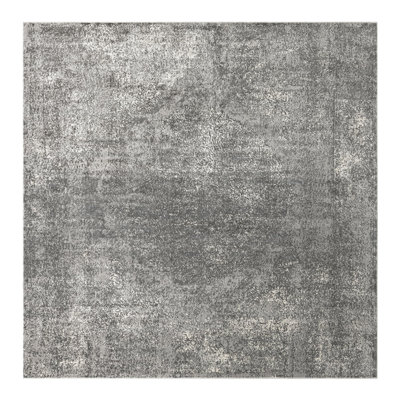 Janousek Oriental Gray Area Rug