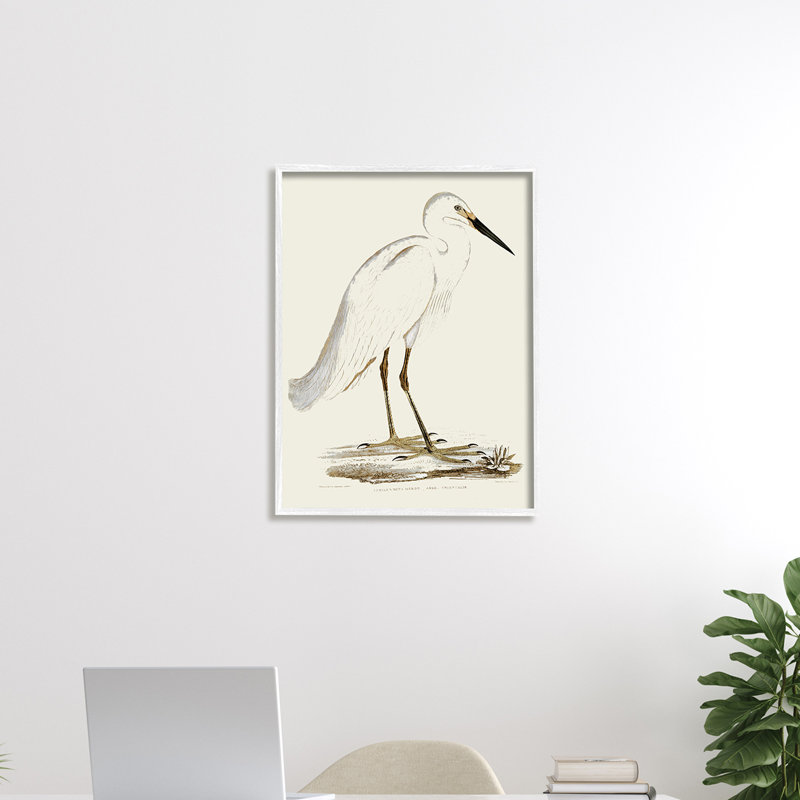 Illustration rétro d'une aigrette dans un marais, H 20 po x l 16 po, Toile tendue
