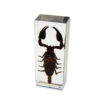 Ramage Animals Figurines & Sculptures