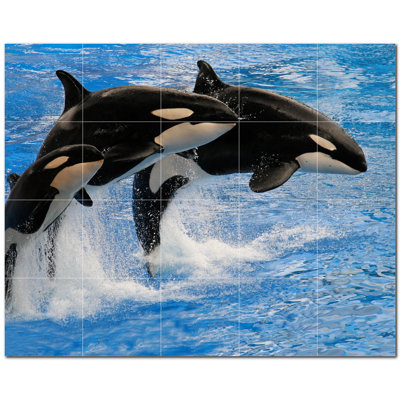Murale décorative en céramique 12 "x 12" Dolphin Photo