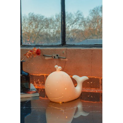 Novelty Lamp