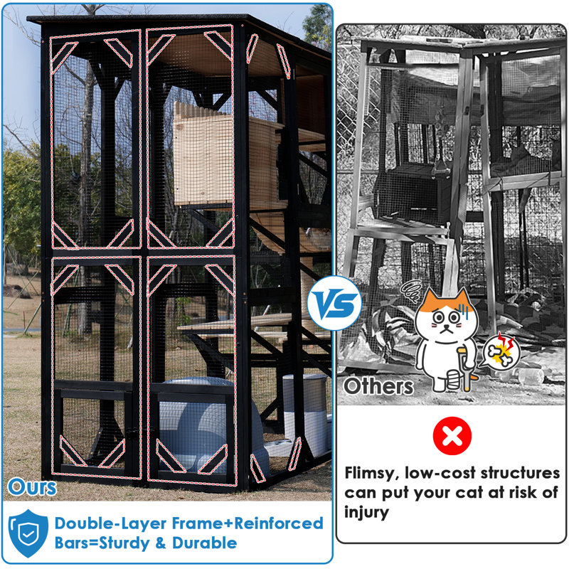 Catio