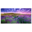 «Summer Lavender Field in Tihany Modern Landscape», reproduction de photo sur toile-26175839-33187011