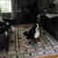 Customer photo 2 of 2
