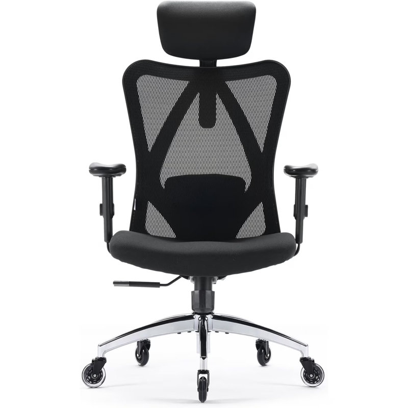 Ergonomic Mesh Office Chair with Adjustable Lumbar Support and Padded Armrests for 300lbs, Gray