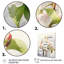 Cameley Apple Blossom translucide lueur III sur toile-744668785-744668791
