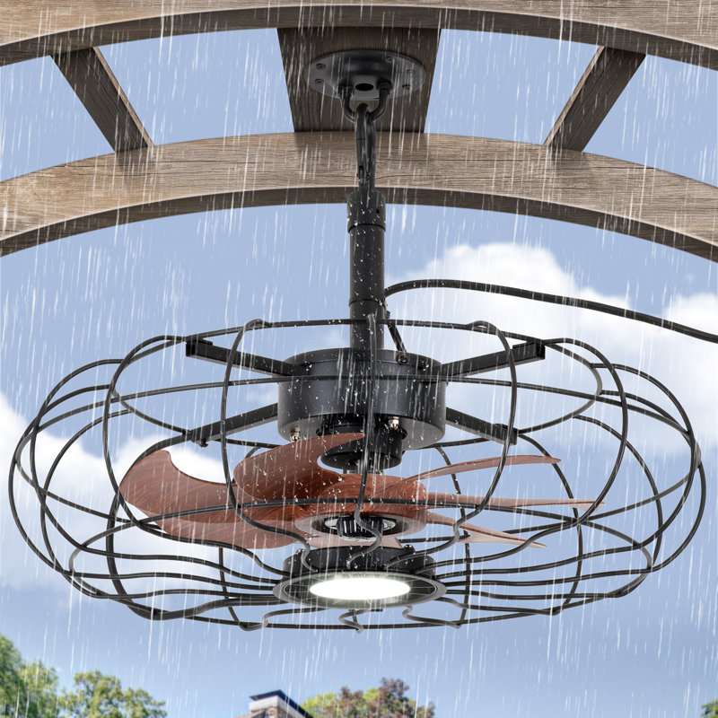 20-Inch Outdoor Plug-In Hanging Caged Ceiling Fan with LED Light, Remote and App Control, Black, 20", Black