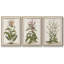 Munting Botanicals I 3 pièces-97709175-97709176
