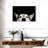 Peeking Siberian Husky-107504626