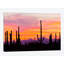 «Saguaro Cacti At Sunset I», impression sur toile-28952090-74377817-74424934