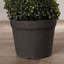 Arbre topiaire en buis artificiel en spirale de 5 pi de hauteur, fausse verdure, décoration botanique, pour entrée, salon, bureau, 60 po-15330446