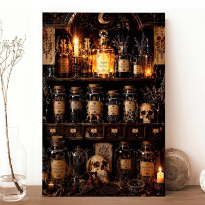 Canvas Wall Art Gothic Apothecary Shelf Skull & Potion Bottles Vintage Poster Print Home Decor