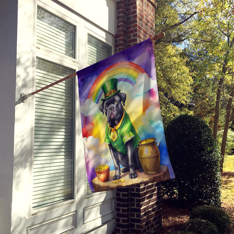 Drapeau double face en polyester H 40 po x l 28 po St Patrick's Day House