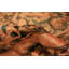 One-of-a-Kind Runner 6'7" X 18'7" Area Rug